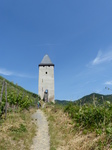 FZ017511 Jenni following Bacharach town wall to tower.jpg